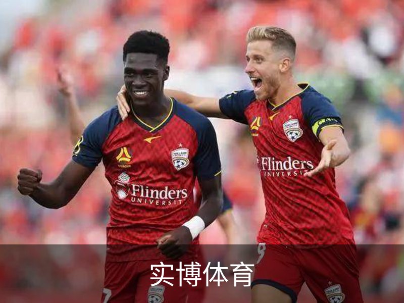实博体育(中国)官方网站
